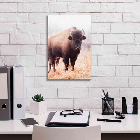 Image of 'American Bison V' by Debra Van Swearingen, Canvas Wall Art,12 x 18
