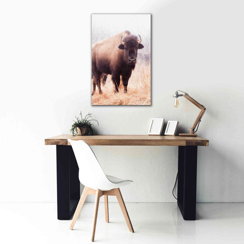 Image of 'American Bison V' by Debra Van Swearingen, Canvas Wall Art,26 x 40