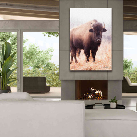 Image of 'American Bison V' by Debra Van Swearingen, Canvas Wall Art,40 x 60