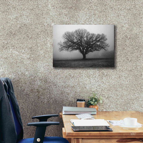 Image of 'Evening Mist' by Debra Van Swearingen, Canvas Wall Art,26 x 18