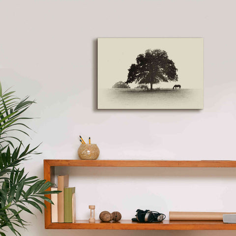 Image of 'Horses and Trees I' by Debra Van Swearingen, Canvas Wall Art,18 x 12