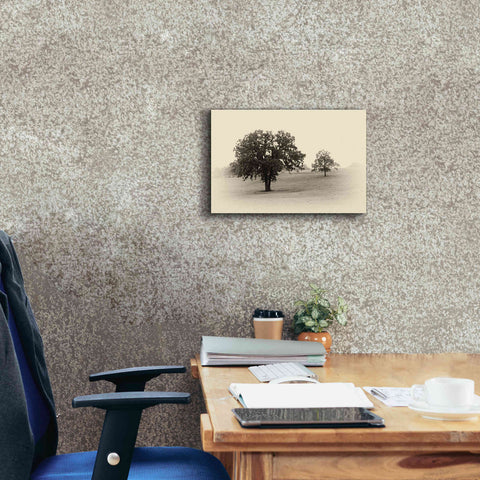 Image of 'Horses and Trees II' by Debra Van Swearingen, Canvas Wall Art,18 x 12