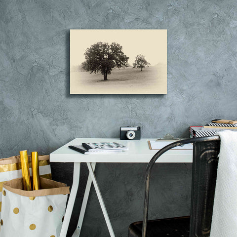 Image of 'Horses and Trees II' by Debra Van Swearingen, Canvas Wall Art,18 x 12
