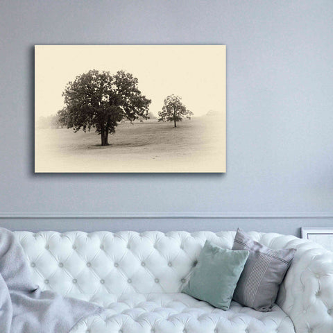 Image of 'Horses and Trees II' by Debra Van Swearingen, Canvas Wall Art,60 x 40