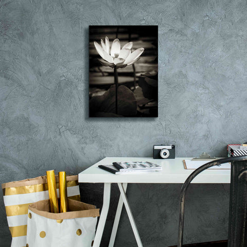 Image of 'Lotus Flower VIII' by Debra Van Swearingen, Canvas Wall Art,12 x 16
