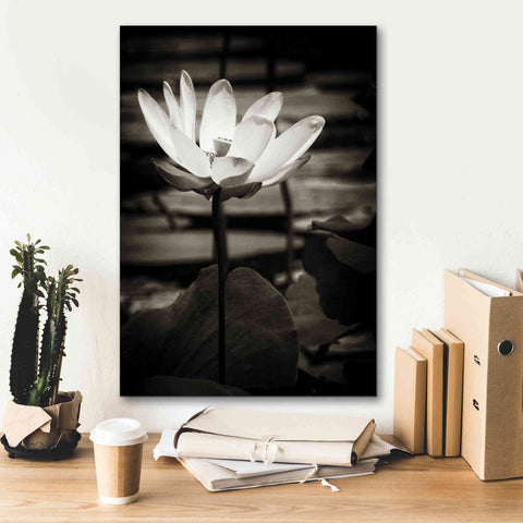 Image of 'Lotus Flower VIII' by Debra Van Swearingen, Canvas Wall Art,18 x 26