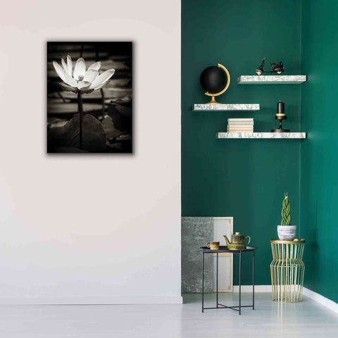 Image of 'Lotus Flower VIII' by Debra Van Swearingen, Canvas Wall Art,26 x 34