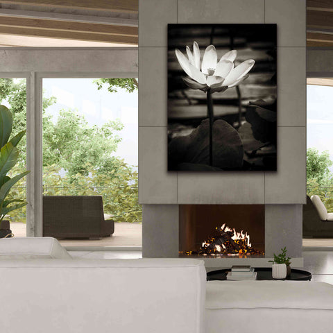 Image of 'Lotus Flower VIII' by Debra Van Swearingen, Canvas Wall Art,40 x 54