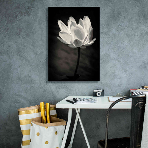Image of 'Lotus Flower X' by Debra Van Swearingen, Canvas Wall Art,18 x 26