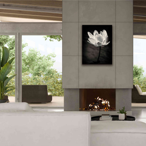 Image of 'Lotus Flower X' by Debra Van Swearingen, Canvas Wall Art,26 x 34