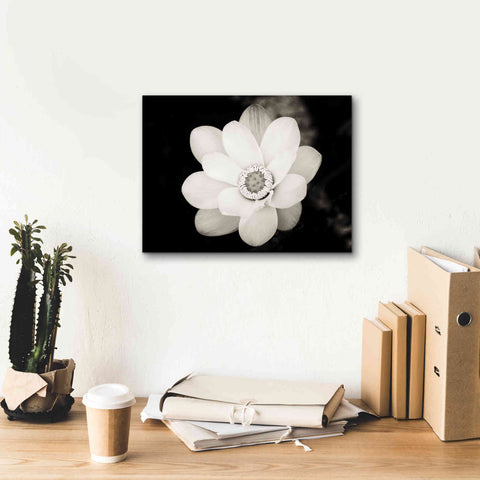 Image of 'Lotus Flower III' by Debra Van Swearingen, Canvas Wall Art,16 x 12