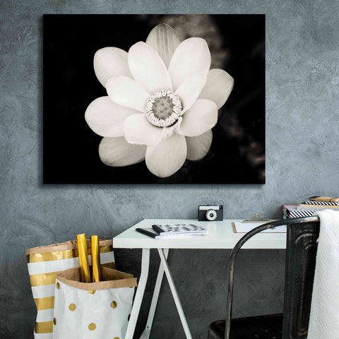 Image of 'Lotus Flower III' by Debra Van Swearingen, Canvas Wall Art,34 x 26