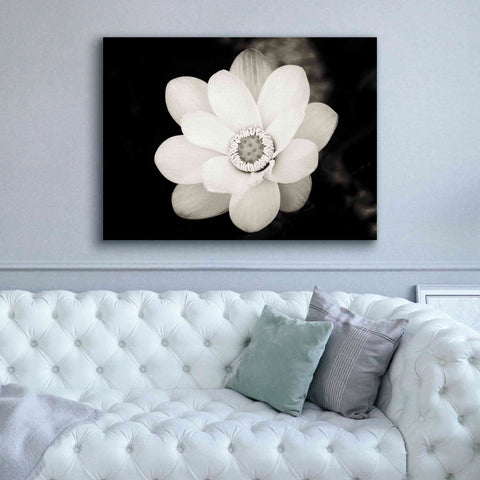 Image of 'Lotus Flower III' by Debra Van Swearingen, Canvas Wall Art,54 x 40