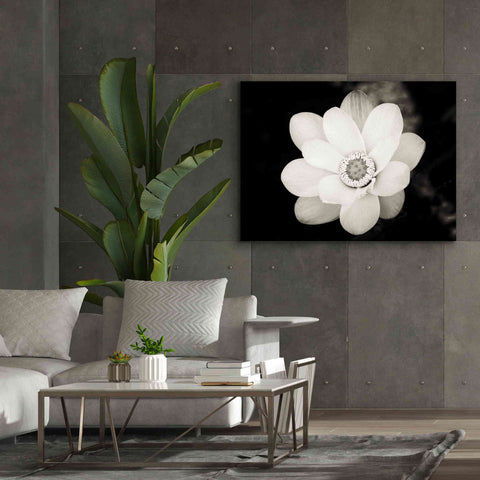 Image of 'Lotus Flower III' by Debra Van Swearingen, Canvas Wall Art,54 x 40