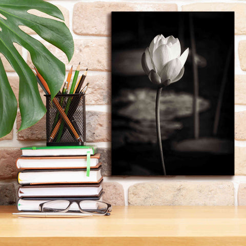 Image of 'Lotus Flower VI' by Debra Van Swearingen, Canvas Wall Art,12 x 16