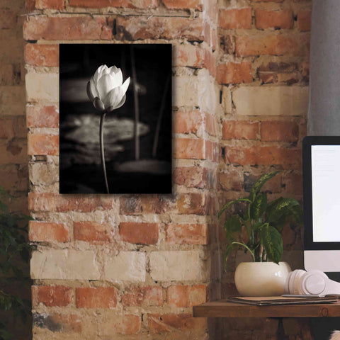Image of 'Lotus Flower VI' by Debra Van Swearingen, Canvas Wall Art,12 x 16