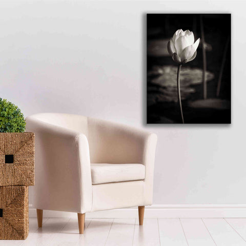 Image of 'Lotus Flower VI' by Debra Van Swearingen, Canvas Wall Art,26 x 34