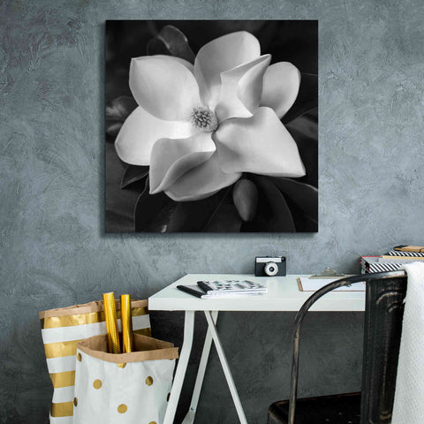 Image of 'Magnolia' by Debra Van Swearingen, Canvas Wall Art,26 x 26