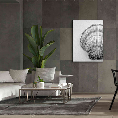 Image of 'On The Half Shell' by Debra Van Swearingen, Canvas Wall Art,40 x 54