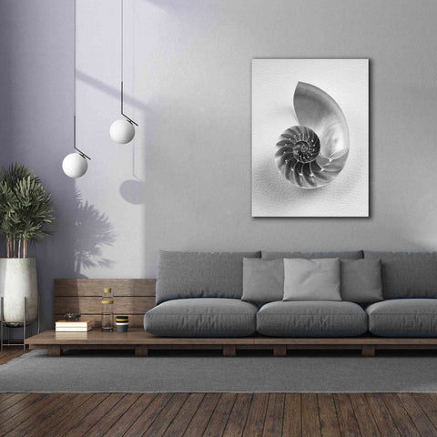 Image of 'Nautilus 4' by Debra Van Swearingen, Canvas Wall Art,40 x 54