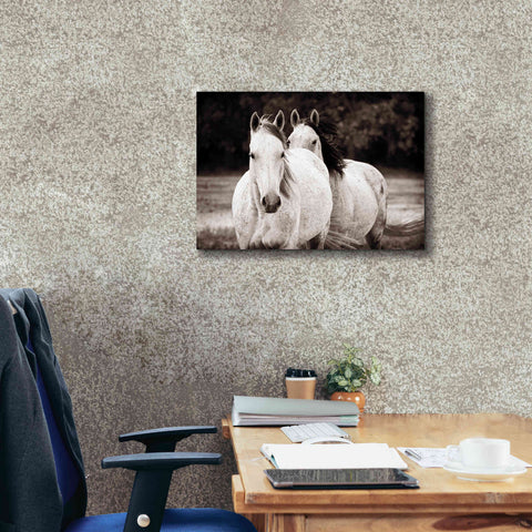 Image of 'Two Wild Horses Sepia' by Debra Van Swearingen, Canvas Wall Art,26 x 18