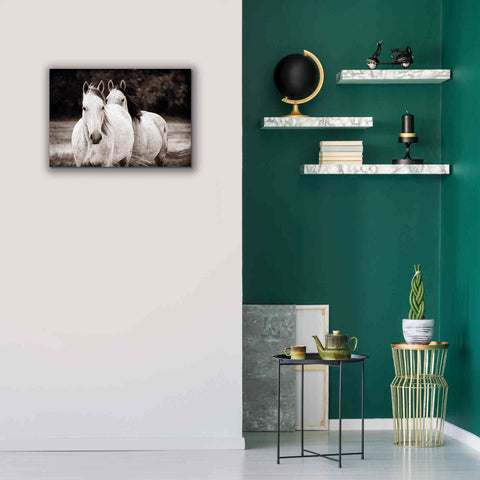 Image of 'Two Wild Horses Sepia' by Debra Van Swearingen, Canvas Wall Art,26 x 18