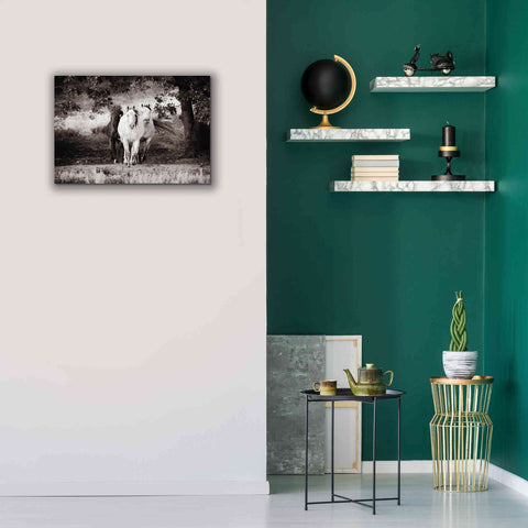 Image of 'Three Wild Horses Sepia' by Debra Van Swearingen, Canvas Wall Art,26 x 18