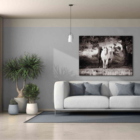 Image of 'Three Wild Horses Sepia' by Debra Van Swearingen, Canvas Wall Art,54 x 40