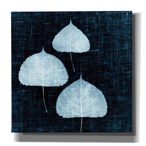 Image of 'Leaves on Linen III' by Debra Van Swearingen, Canvas Wall Art,12x12x1.1x0,18x18x1.1x0,26x26x1.74x0,37x37x1.74x0
