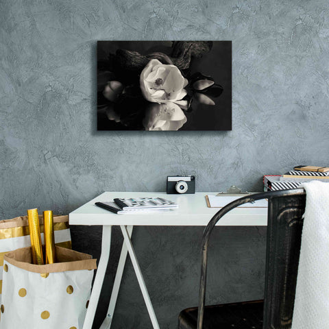 Image of 'Magnolia and Driftwood I' by Debra Van Swearingen, Canvas Wall Art,18 x 12