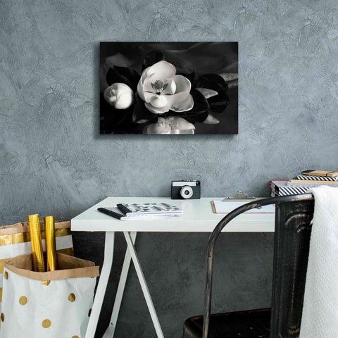 Image of 'Magnolia in Bloom' by Debra Van Swearingen, Canvas Wall Art,18 x 12