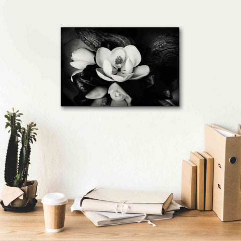 Image of 'Magnolia and Driftwood II' by Debra Van Swearingen, Canvas Wall Art,18 x 12