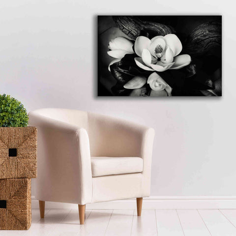 Image of 'Magnolia and Driftwood II' by Debra Van Swearingen, Canvas Wall Art,40 x 26