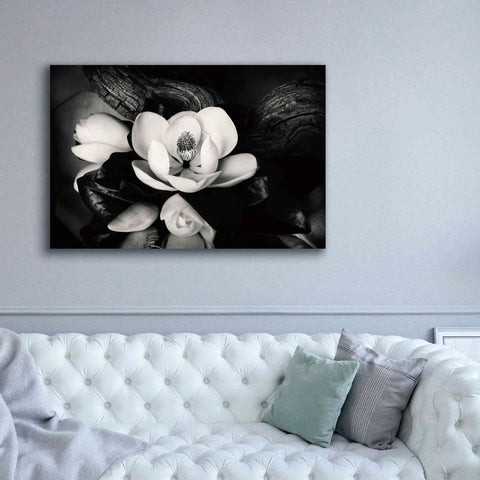 Image of 'Magnolia and Driftwood II' by Debra Van Swearingen, Canvas Wall Art,60 x 40