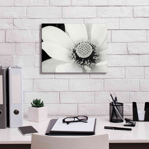 Image of 'Lotus Flower IV' by Debra Van Swearingen, Canvas Wall Art,16 x 12