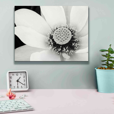 Image of 'Lotus Flower IV' by Debra Van Swearingen, Canvas Wall Art,16 x 12