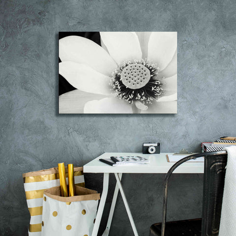 Image of 'Lotus Flower IV' by Debra Van Swearingen, Canvas Wall Art,26 x 18