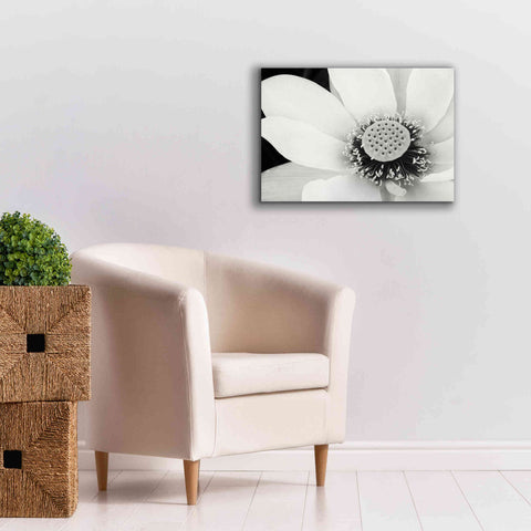 Image of 'Lotus Flower IV' by Debra Van Swearingen, Canvas Wall Art,26 x 18