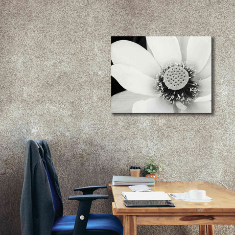 Image of 'Lotus Flower IV' by Debra Van Swearingen, Canvas Wall Art,34 x 26