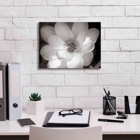 Image of 'Lotus Flower V' by Debra Van Swearingen, Canvas Wall Art,16 x 12