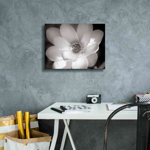 Image of 'Lotus Flower V' by Debra Van Swearingen, Canvas Wall Art,16 x 12