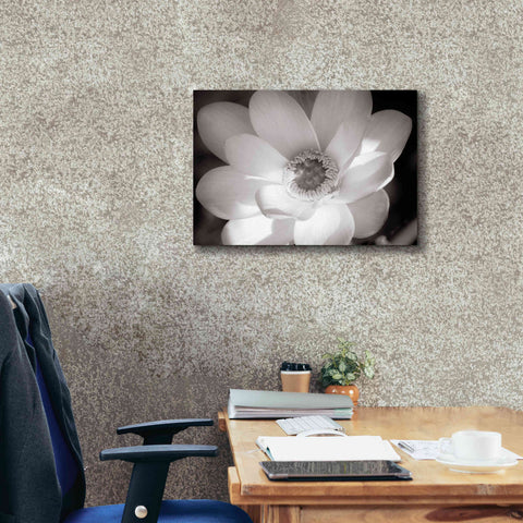 Image of 'Lotus Flower V' by Debra Van Swearingen, Canvas Wall Art,26 x 18