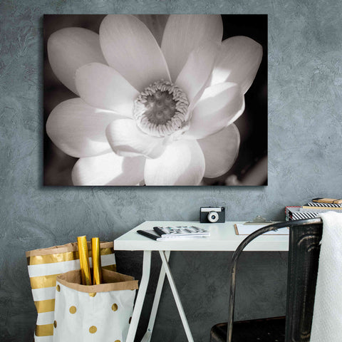 Image of 'Lotus Flower V' by Debra Van Swearingen, Canvas Wall Art,34 x 26