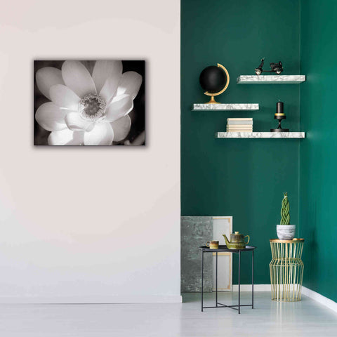 Image of 'Lotus Flower V' by Debra Van Swearingen, Canvas Wall Art,34 x 26