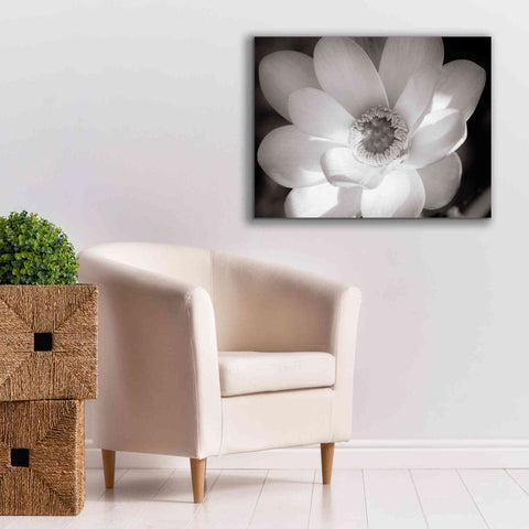 Image of 'Lotus Flower V' by Debra Van Swearingen, Canvas Wall Art,34 x 26