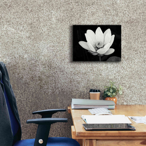 Image of 'Lotus Flower I v2' by Debra Van Swearingen, Canvas Wall Art,16 x 12