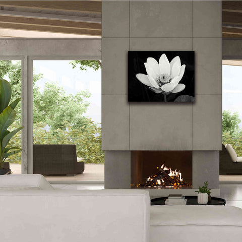 Image of 'Lotus Flower I v2' by Debra Van Swearingen, Canvas Wall Art,34 x 26