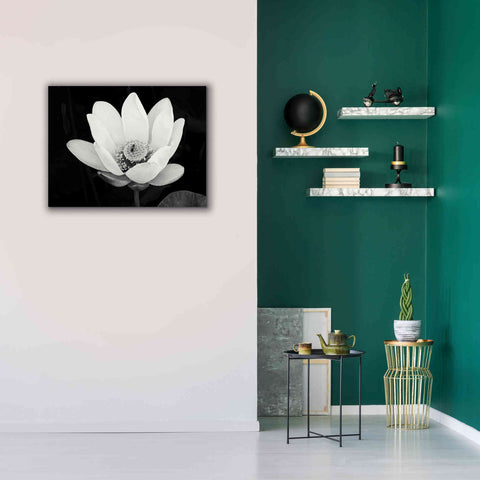 Image of 'Lotus Flower I v2' by Debra Van Swearingen, Canvas Wall Art,34 x 26