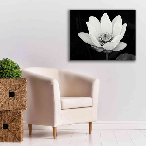 Image of 'Lotus Flower I v2' by Debra Van Swearingen, Canvas Wall Art,34 x 26
