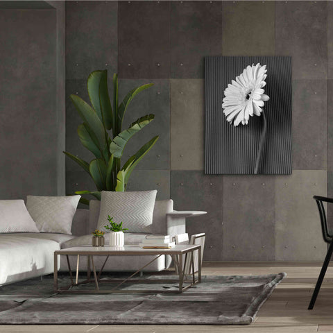 Image of 'Fresh Cut Daisy II' by Debra Van Swearingen, Canvas Wall Art,40 x 54